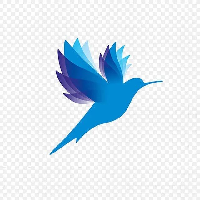 vpn代理-节点VPN-小火箭节点