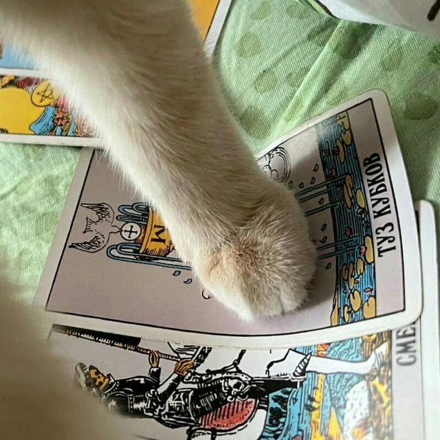 тёмное место гульки️🐈‍⬛️