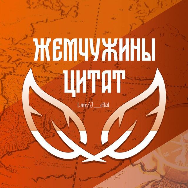 Жемчужины цитат