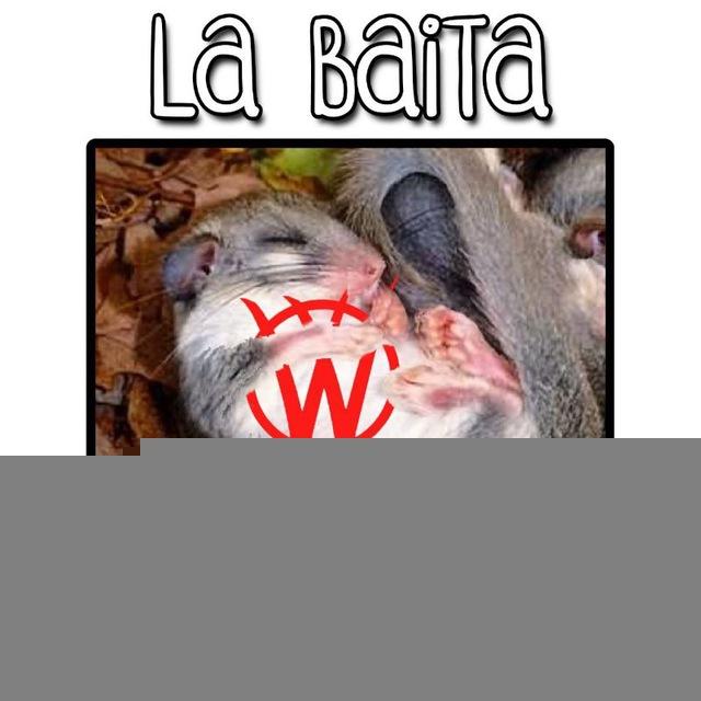 LA BAITA DEI GHIRI❤️PIEMONTE