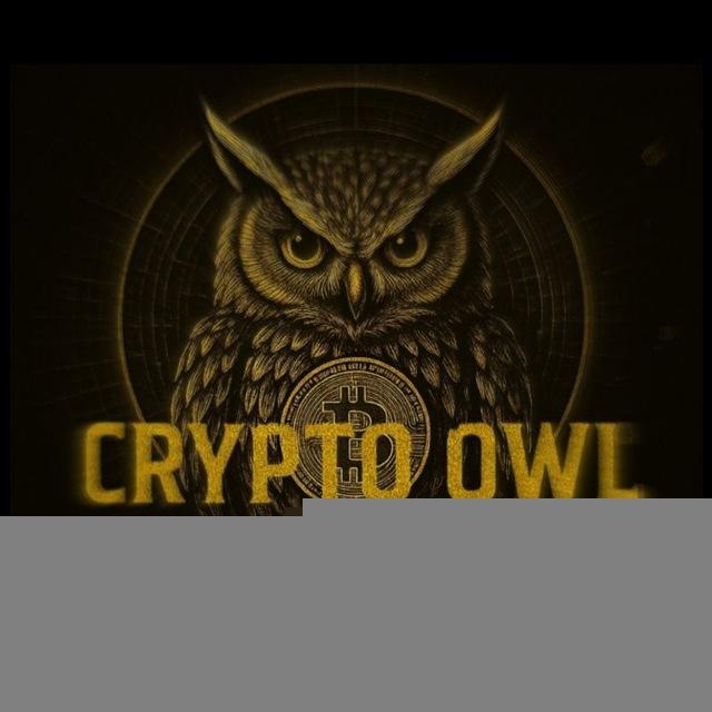 CRYPTO OWL