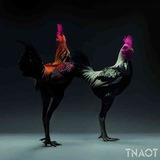មាន់ជល់បងសាន់🐓WE855