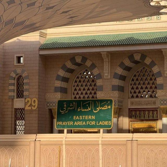 طُـويلبة عِلم.