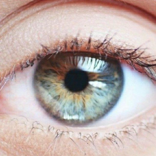 DAMS Ophthalmology@Dr Sourabh Sharma