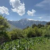 Работа для студентов Almaty📍