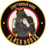 Клуб тайского бокса "Black Horse"