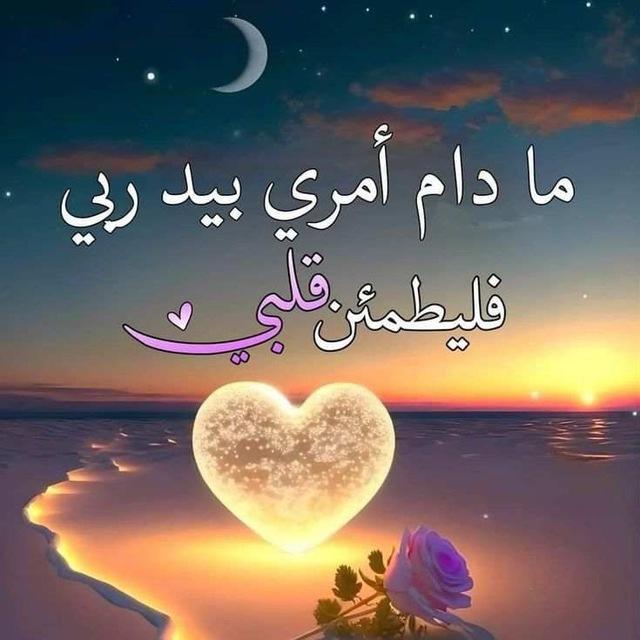 ✨نَبـض الأمؔــل🌱