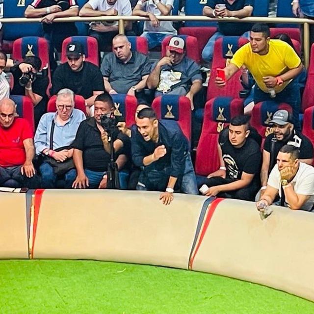 Gallos Santander