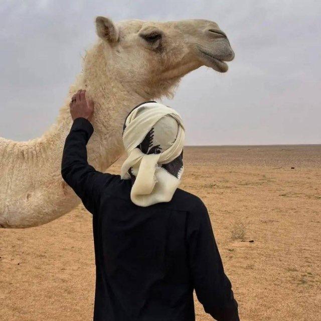 ⸂ ᷂شُعور .