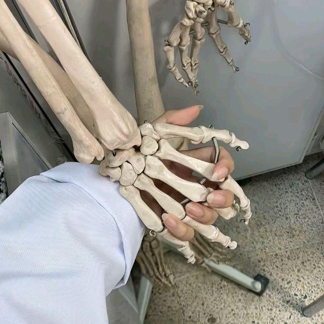 شَفوئي جامِعي