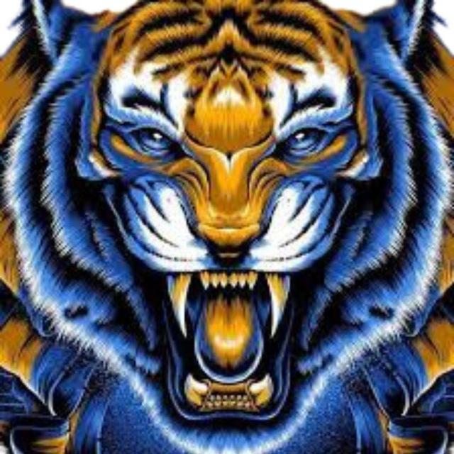 FALINDO O TIGER 🐯 100% ASSERTIVO