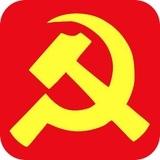 СССР в опросах