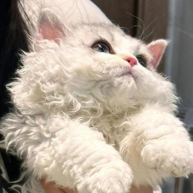 Полезные материалы