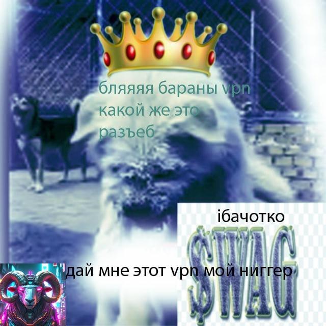 🐏👑Б.А.Р.А.Н.Ы VPN👑
