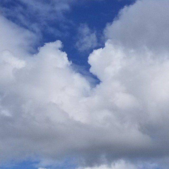 Suzie_Q_2023