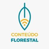 Conteúdo Florestal