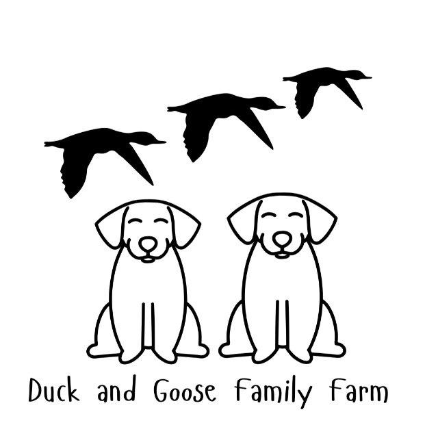 Duck and Goose Family Farm