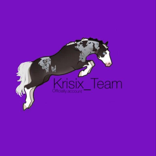 ⚔️Krisix_Team💜