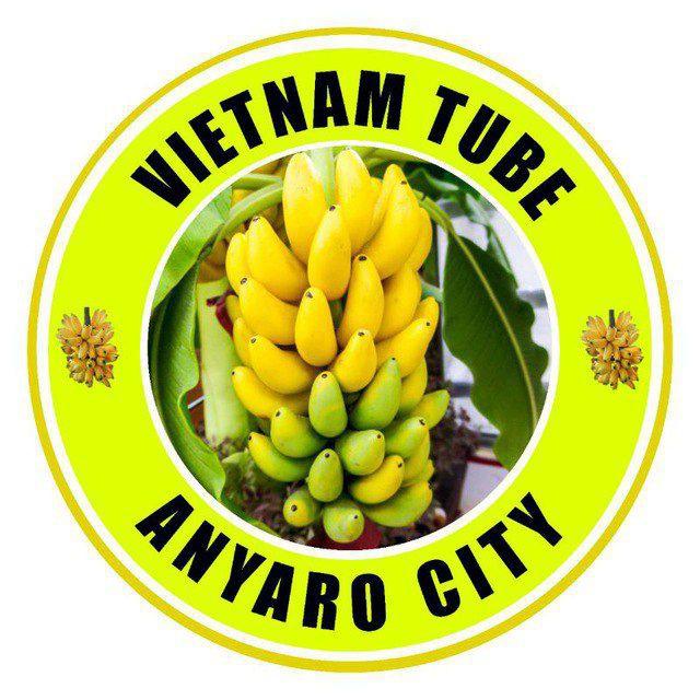Vietnam Tube Anyaro city