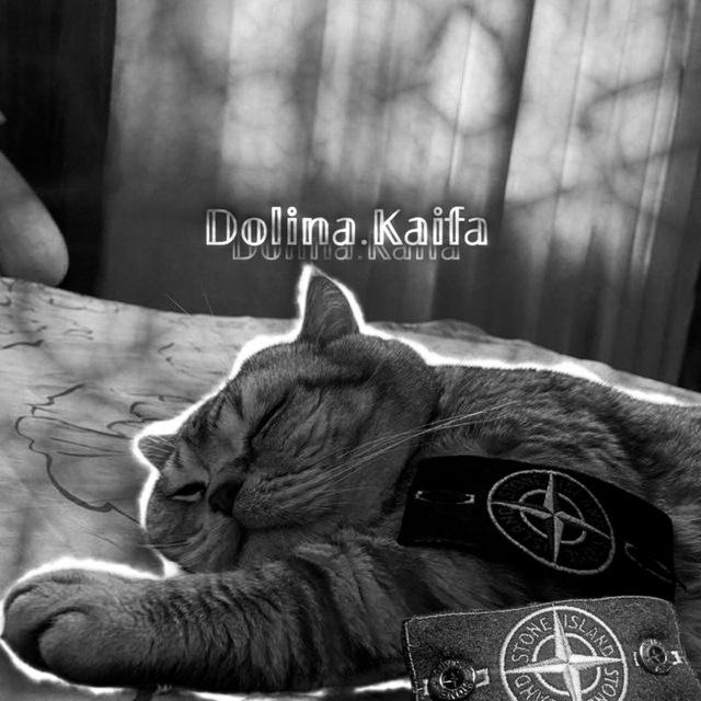 𝔻𝕠𝕝𝕚𝕟𝕒.𝕂𝕒𝕚𝕗𝕒 | Музыка | Сохры