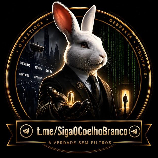 Coelho Branco🐰✨
