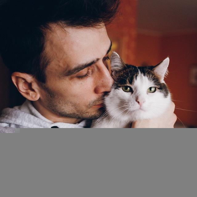 Matt the Cat :3