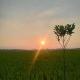 প্রকৃতি