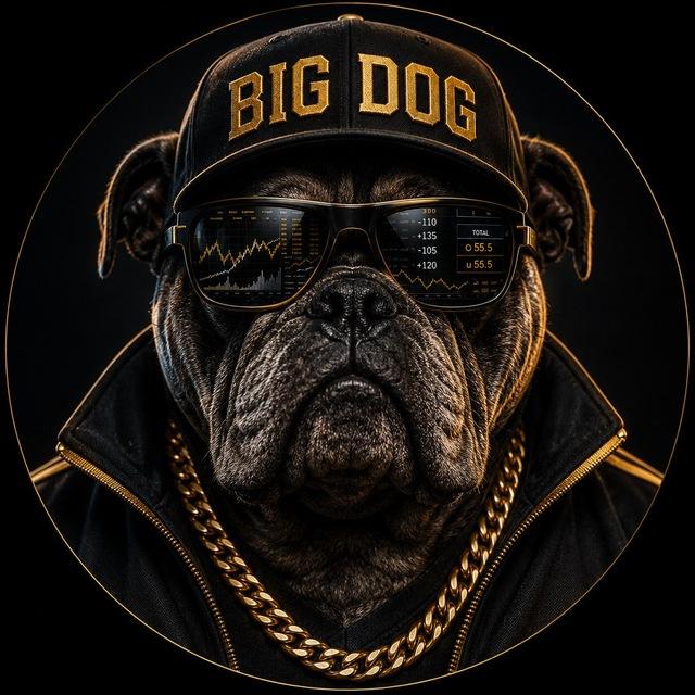 Big Dog Intel🐾