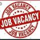 Ethio Job Vacancy ®️