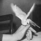 Poem for quiet moment