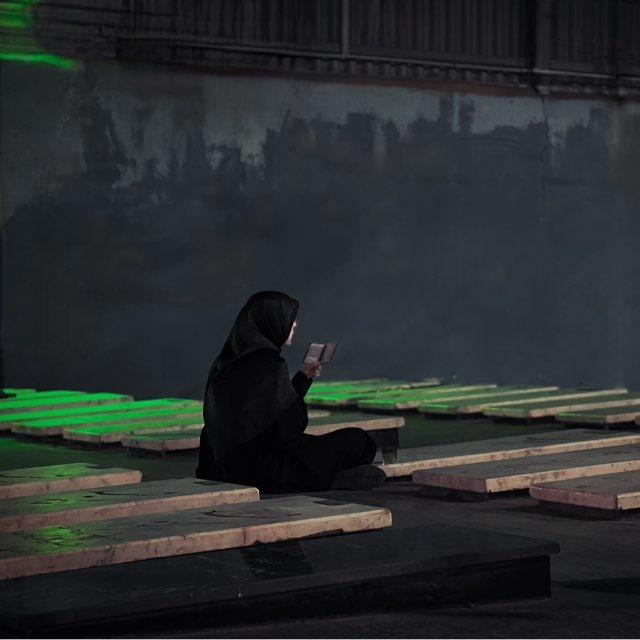 •یه شاخه بابونه🎒•