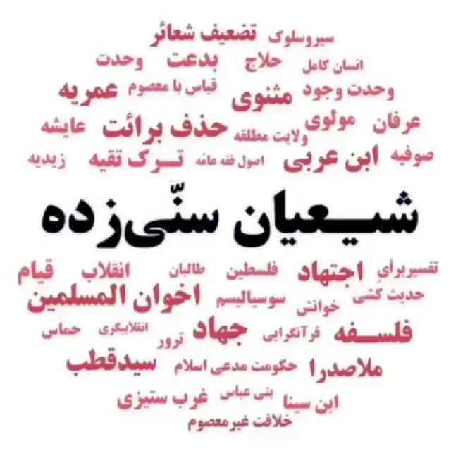 نقد شیعیان سنّی زده
