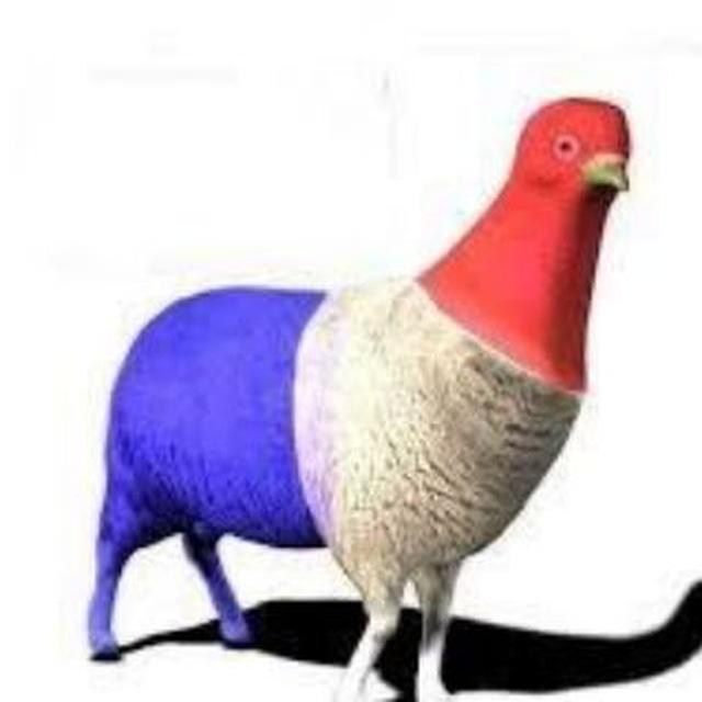 LE MOUGEON 🐑 FRANCAIS