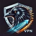 VPN RAVENXER