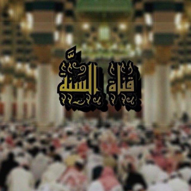 {قناة السُـنَّة}