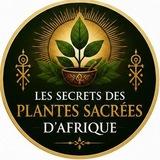 Les Secrets des Plantes Cachées d'Afrique