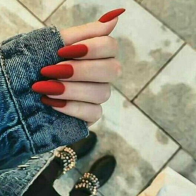 شعار عن الحب والاصداقه ونصائح