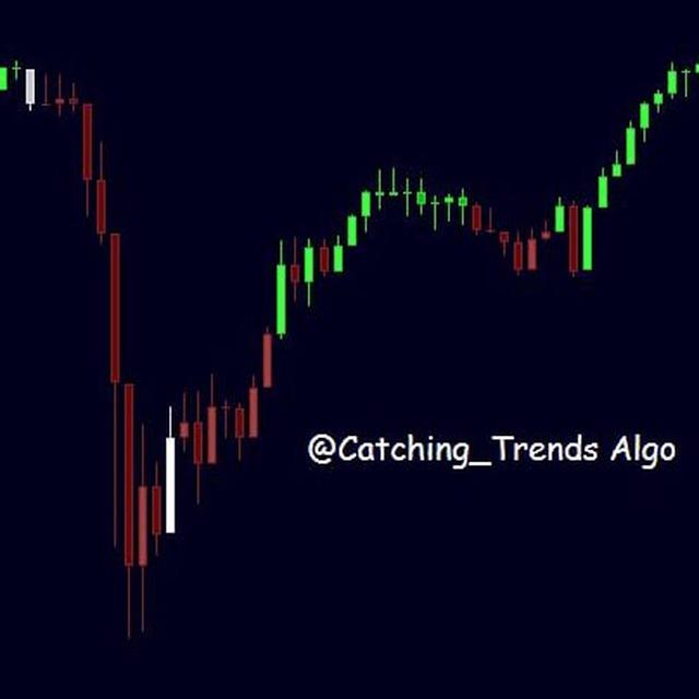 Nelson Catching Trends