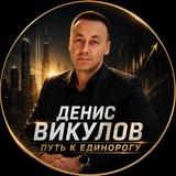 Денис Викулов | Путь к 🦄