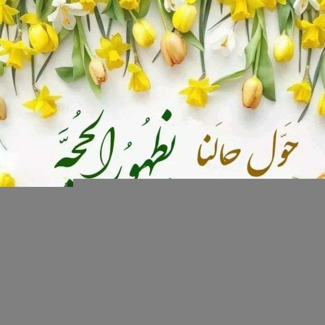 ﴿المهديّ نورَ الحُسينْ﴾