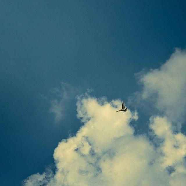 ◉ رَـهایــی ◉