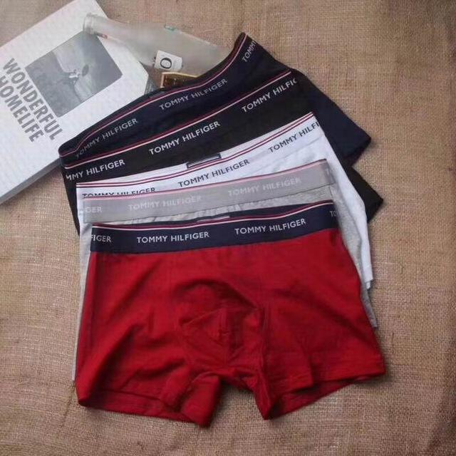Bigest_boxer