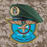 military_L41