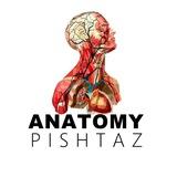 anatomy_pishtaz