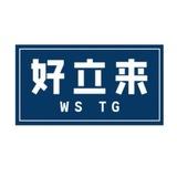 好立来 WS TG 协议