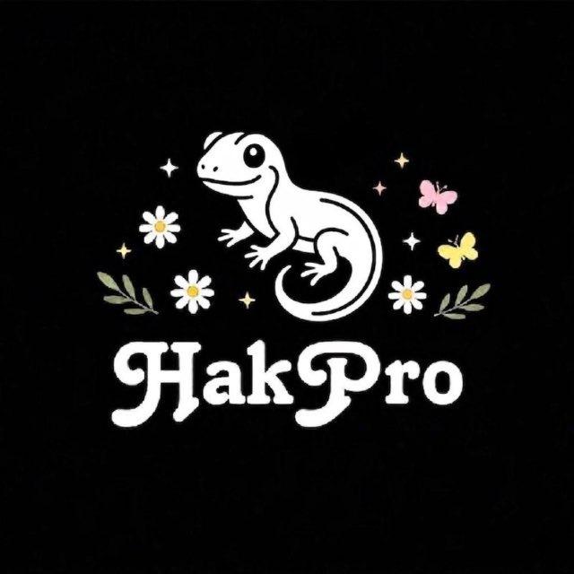 HakProject 🦎 (седня не)