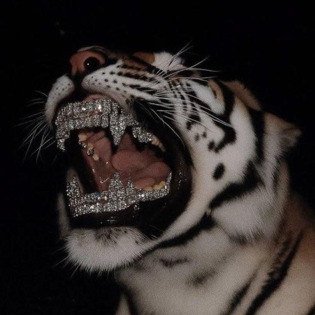 $𝐌𝐚𝐡𝐚𝐤𝐆𝐆💸