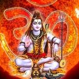 𝗚𝗔𝗟𝗜 𝗗𝗜𝗦𝗔𝗪𝗔𝗥 (𝗦𝗔𝗧𝗧𝗔 𝗧𝗜𝗣𝗦🙏)