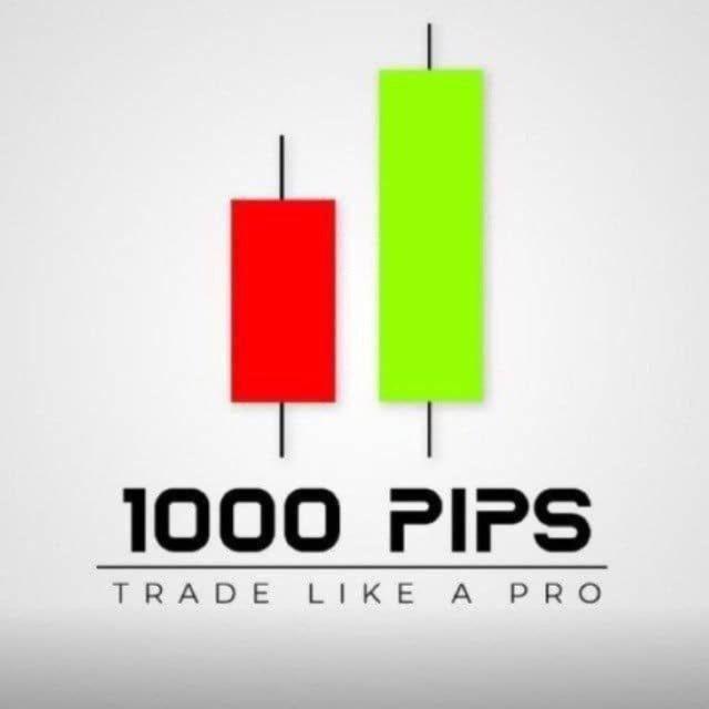 1000pips Builder (OFFicial)