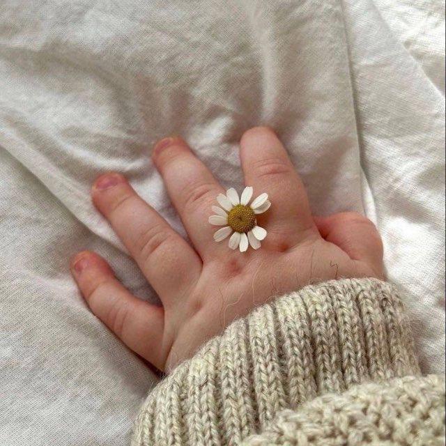 Shelter🌱